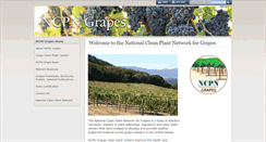 Desktop Screenshot of ncpngrapes.org